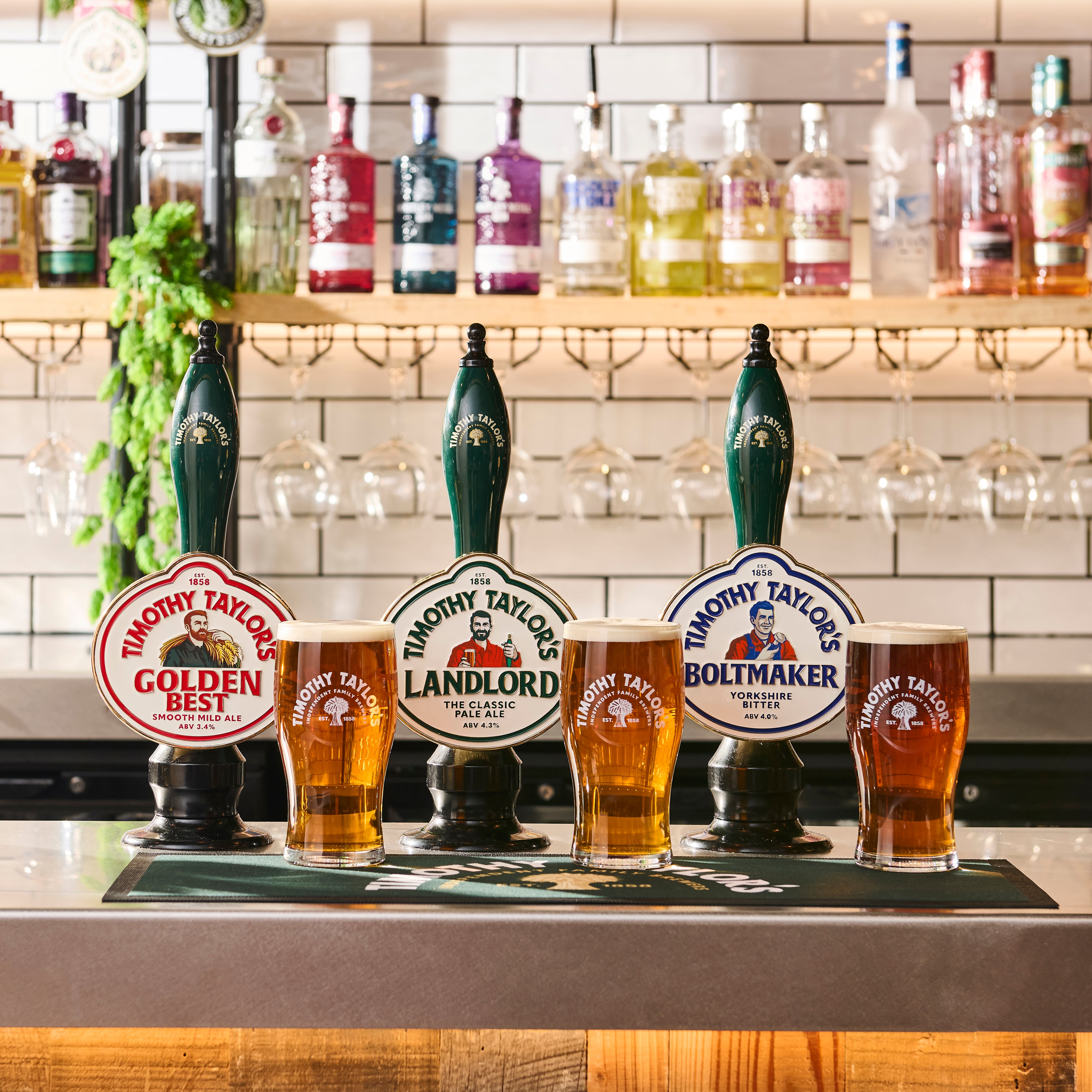 Brand refresh: Timothy Taylor's debuts new look