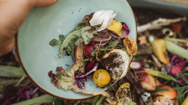 What-was-revealed-in-the-Fourth-SRA-Food-waste-survey.jpg
