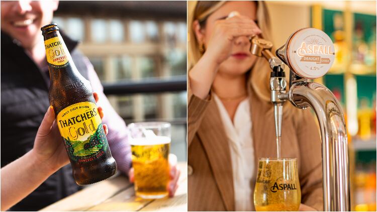thatchers-Aspall-double-resized.jpg
