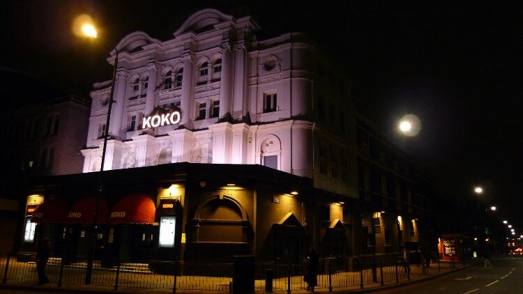 Koko.jpg
