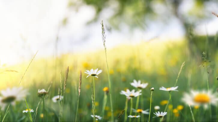 Early Easter & celebrations lift March sales growth