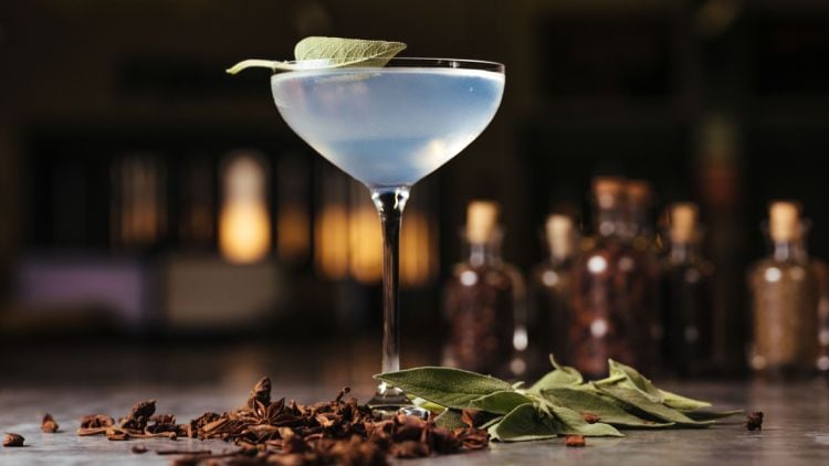 LoneWolf.Gin.and.Tonic.jpg