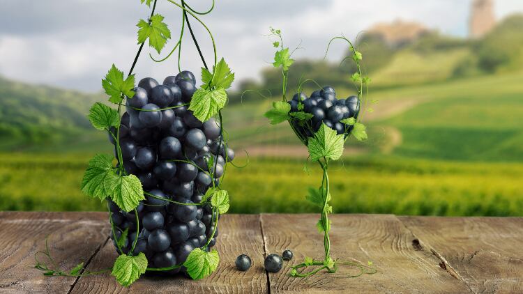 Wine-4.jpg