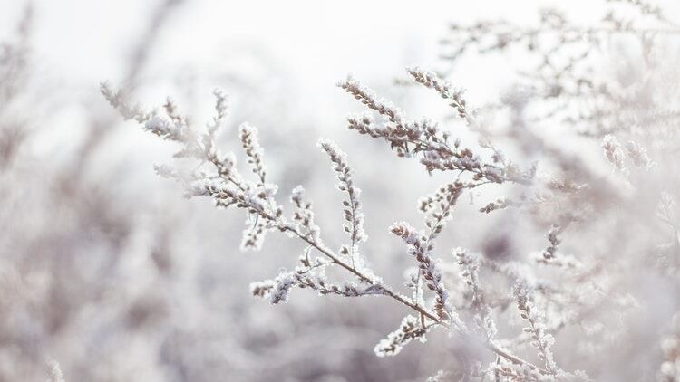 How can pubs make the most of outside space for winter trade?