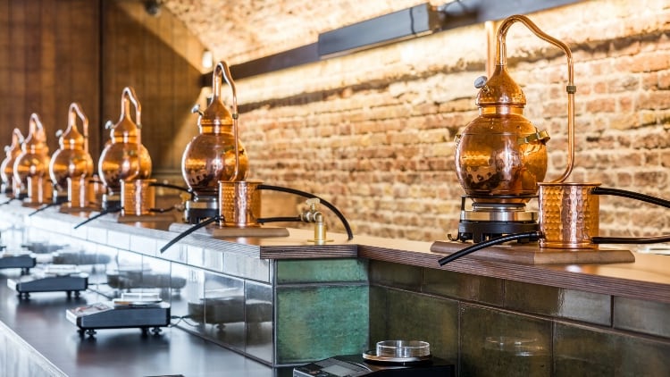 58-Gin-3.jpg