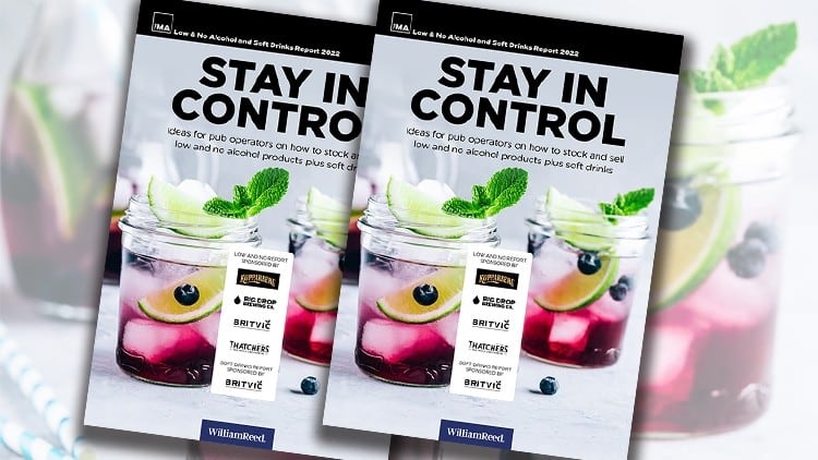 Find a new revenue stream in drinks with less and no alcohol