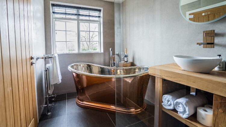 bulls-head-bathroom.jpg