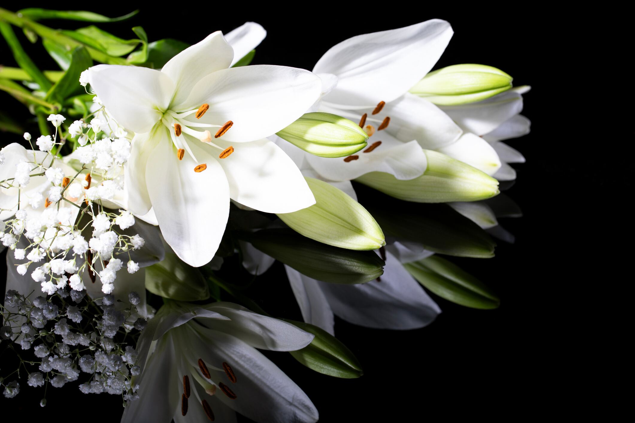 Bouquet of white lilies on a black reflective background