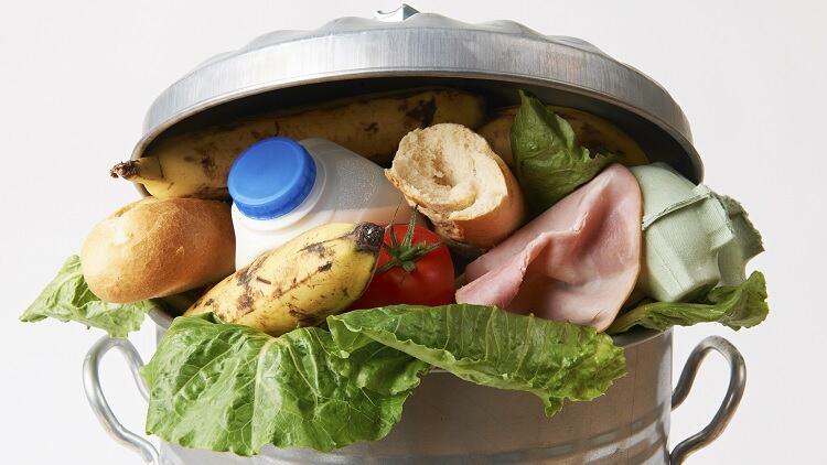 Turning food waste into extra cash 