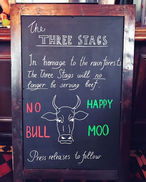 cow-1.jpg