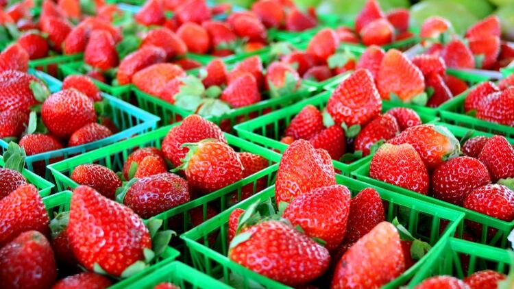 Quality British food ‘key’ to menu success