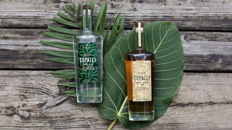 Craft-rum-made-from-rainforest-canopy-water-launches-in-the-UK.jpg