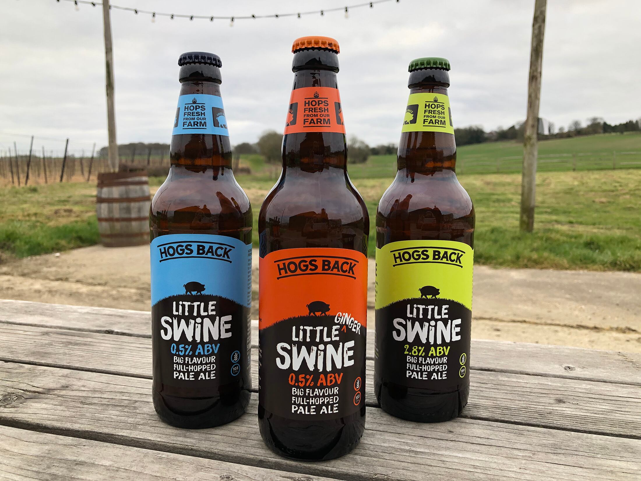 Hogs-Back-Brewery-Little-Swine-full-range.jpg