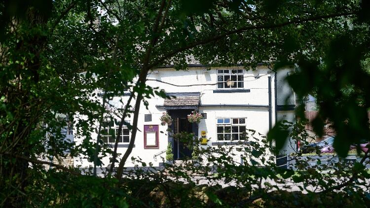 The-Bullshead-trees.jpg