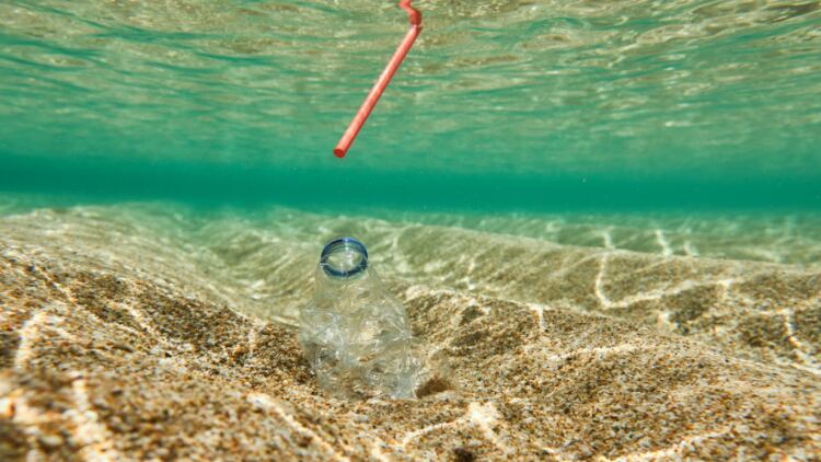 Operators urged to ditch single-use items