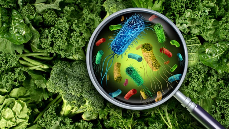 Avoiding-listeria-incidents-in-pub-kitchens.jpg
