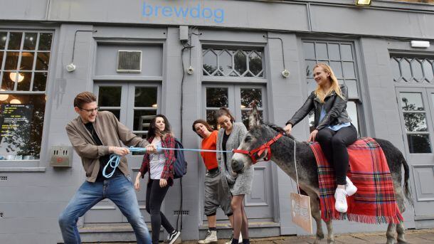 brewdog1.jpg