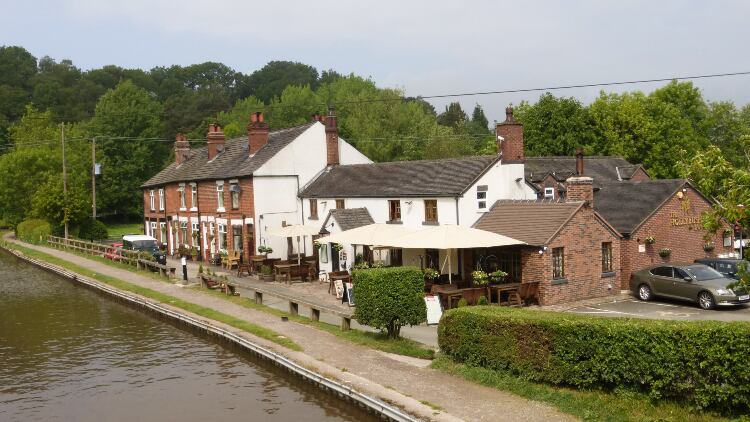 Hollybush.jpg