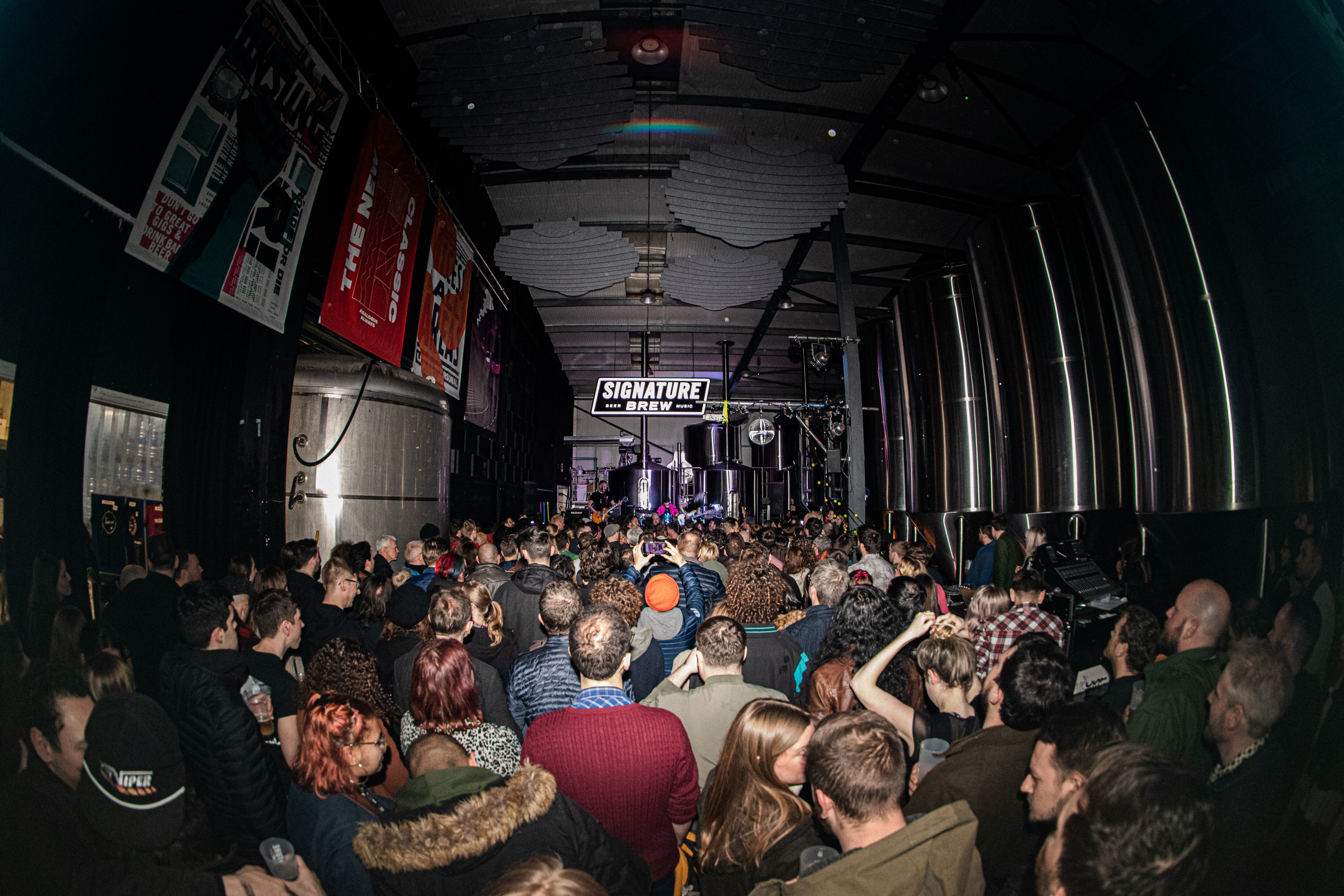 Signature Brew gig