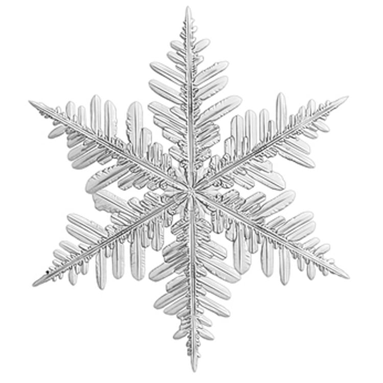snowflake.jpg