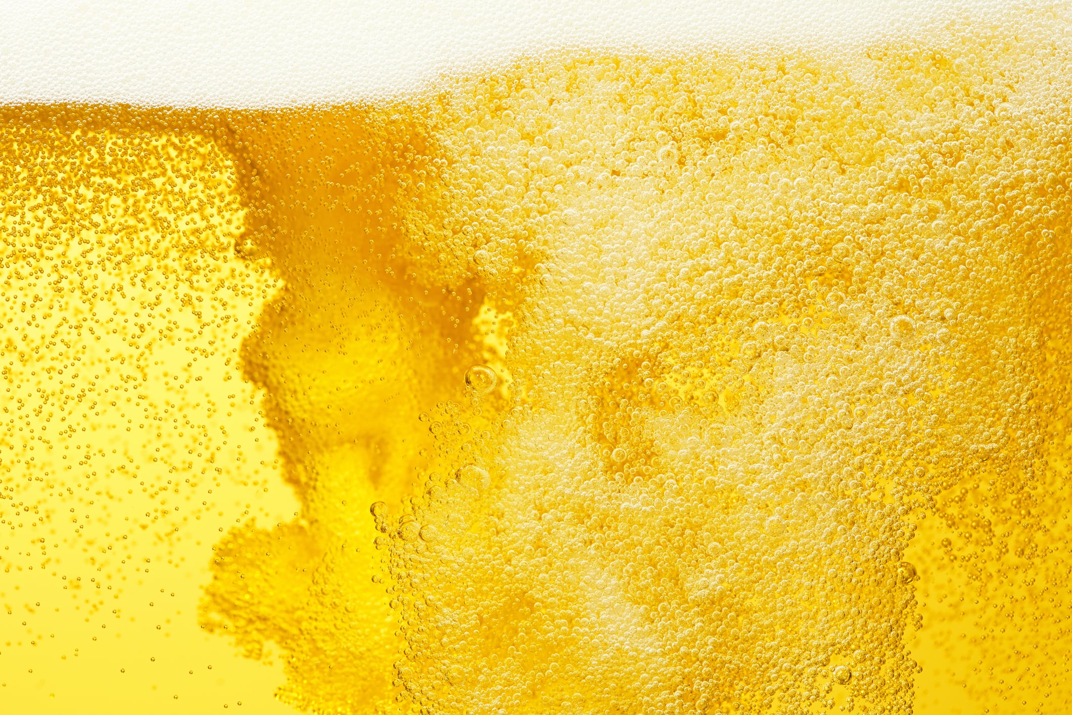 Rallying call for action over climate change risk to British beer 