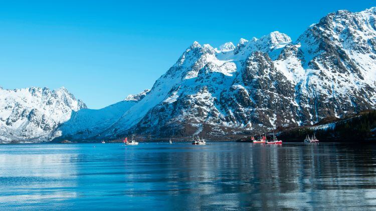 RESIZED-Norwegian-seafood.jpg
