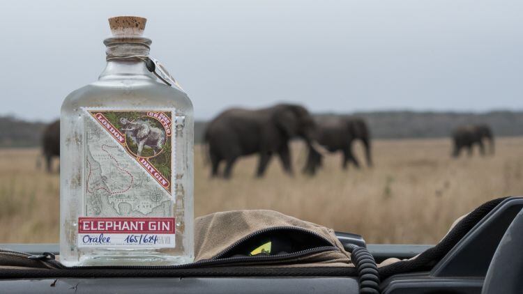 RESIZEDEG_Dry_Mood.Elephants_SA.jpg