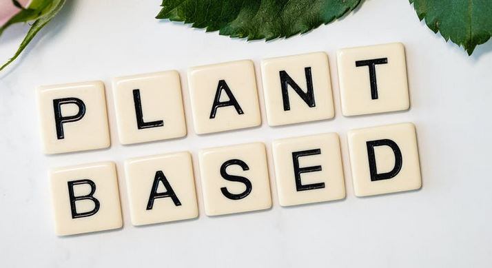 Downtime Development: Plant-based