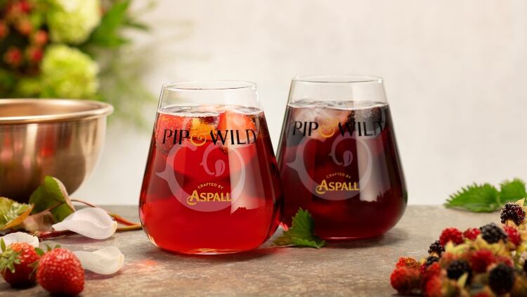 Molson Coors launches new premium cider range