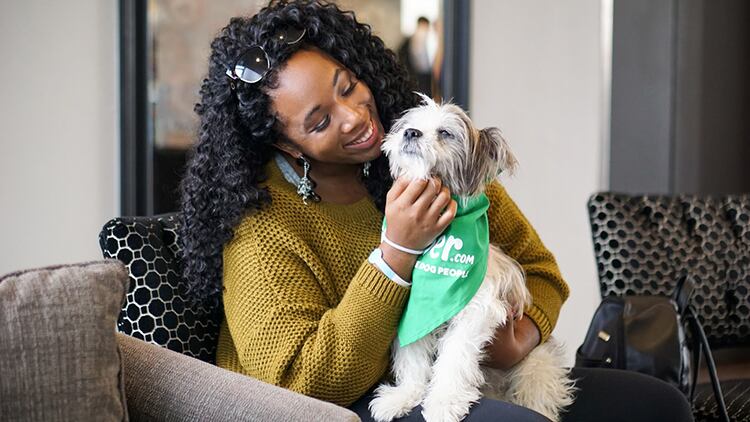 Rover pushes for more dog-friendly pubs