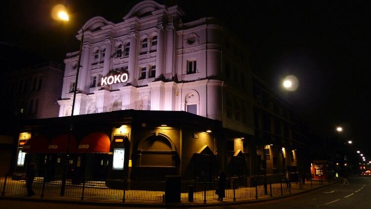 Koko.jpg