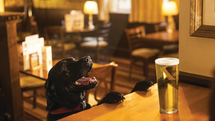 Is this the most dog-friendly pub in the UK?