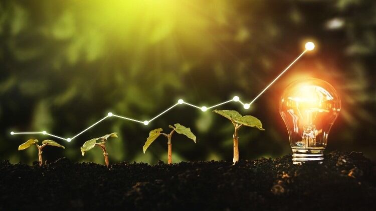 BBPA launches website to track sector’s sustainability journey 