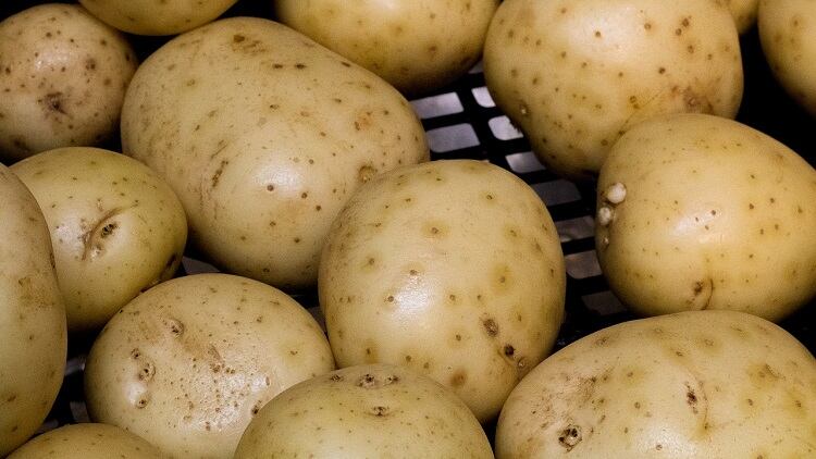 Government labels food waste ‘a scandal’