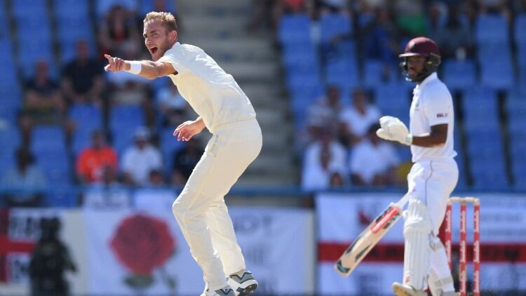 Cricket.jpg