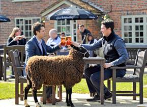 Black-Sheep.jpg