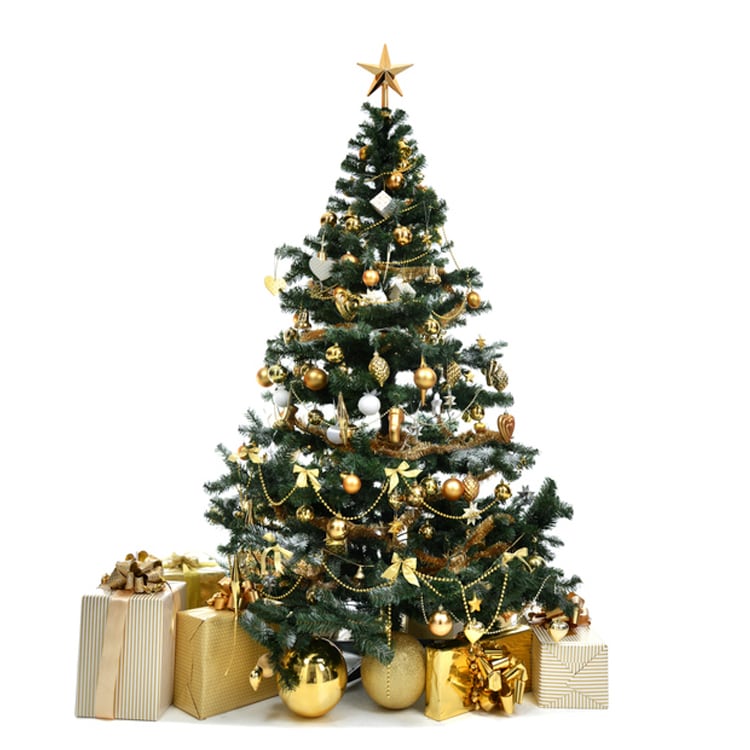 tree.jpg