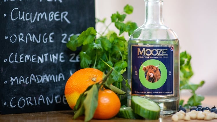 Mooze.jpg