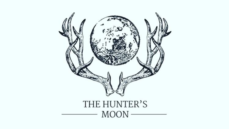Lunar-Pub-Company-to-open-first-site.jpg