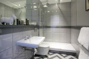 Young-s-Dog-and-Fox-bathroom.jpg