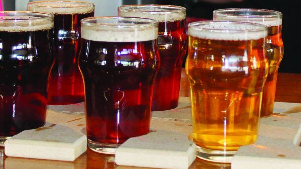 Beer-training-3.jpg