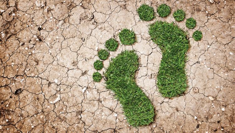 SBTI-approves-Greene-King-emissions-reduction-target.jpg