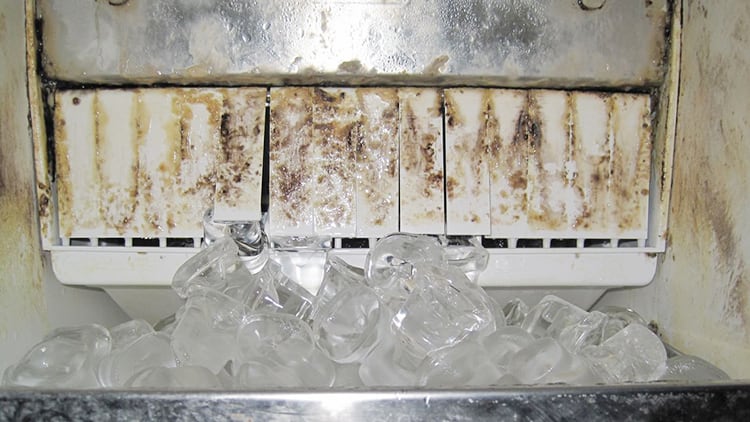 Faecal-bacteria-among-ice-and-soda-served-at-leading-pubs-across-the-UK.jpg