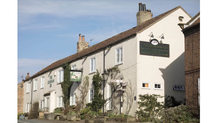 The-Durham-Ox.jpg