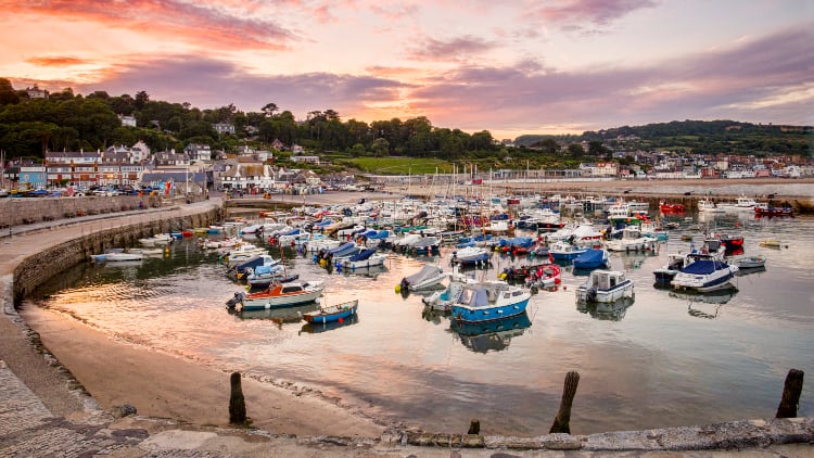 Why is Dorset a unique place to own a pub?