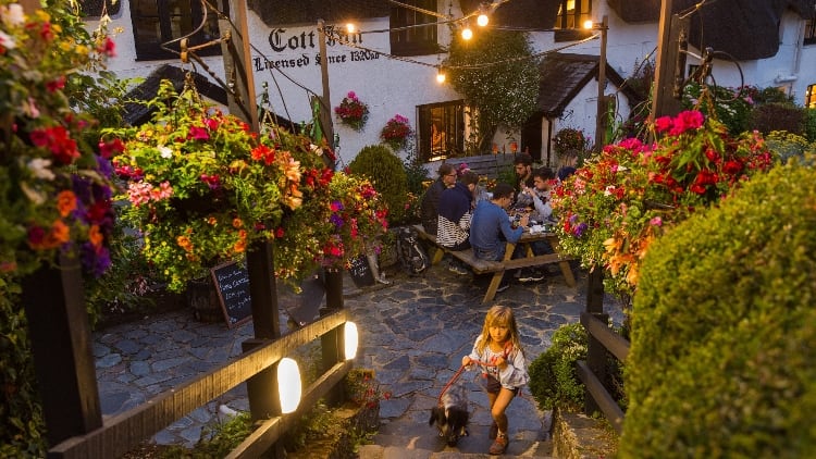 FEATURE: Why the garden is a great place for cider