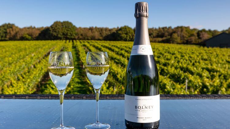 Freixenet-Copestick-acquires-Bolney-Wine-Estate.jpg