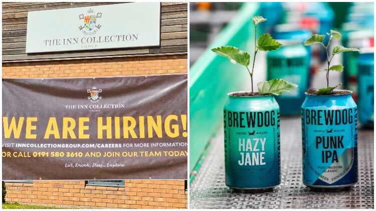 Jobs-round-up-BrewDog-and-Forest-Green-Rovers-new-jobs-Inn-Collection-Group.jpg