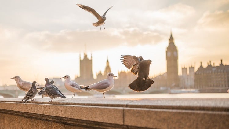 'London is open' message desperately needed, CEOs urge