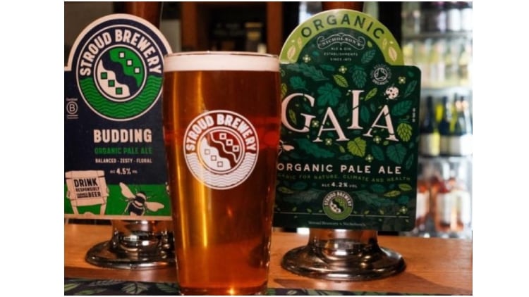 GAIA-image.jpg